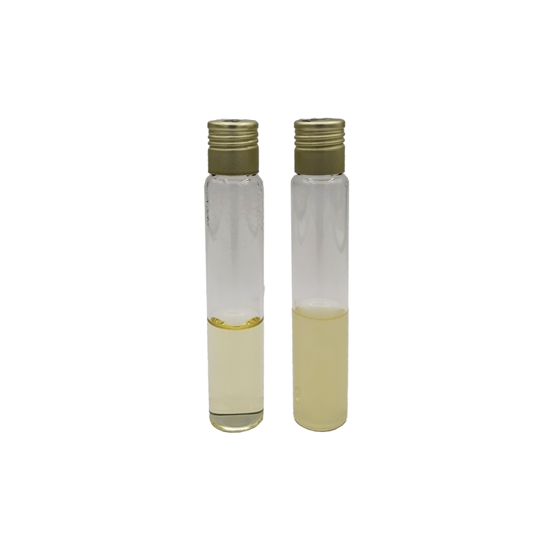 Sabouraud Dextrose Broth EP/USP CO1205 - Microbiology - Condalab