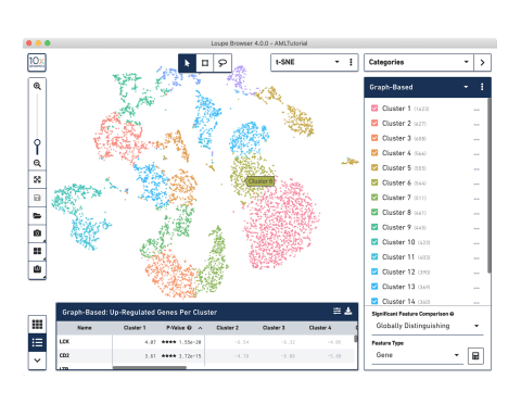 Nuclei Isolation Kit with RNase Inhibitor v2, 16 rxns 1001101 - 10x Genomics