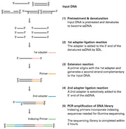 ssDNA-Seq Kit NN0003 - Next-generation sequencing - Takara Bio