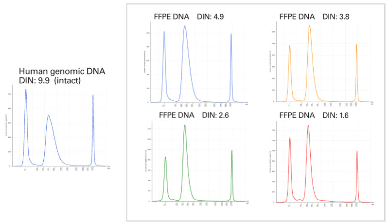 ssDNA-Seq Kit NN0003 - Next-generation sequencing - Takara Bio