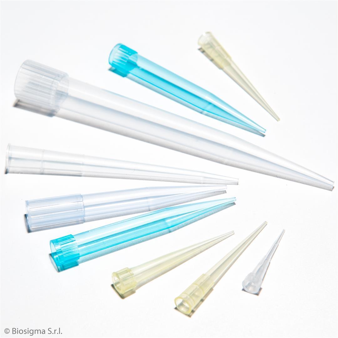 Pipette Tips, Standard (BSR062)