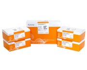 TruSeq RNA Single Indexes Set A (12 Indexes, 48 Samples) 20020492 - Illumina