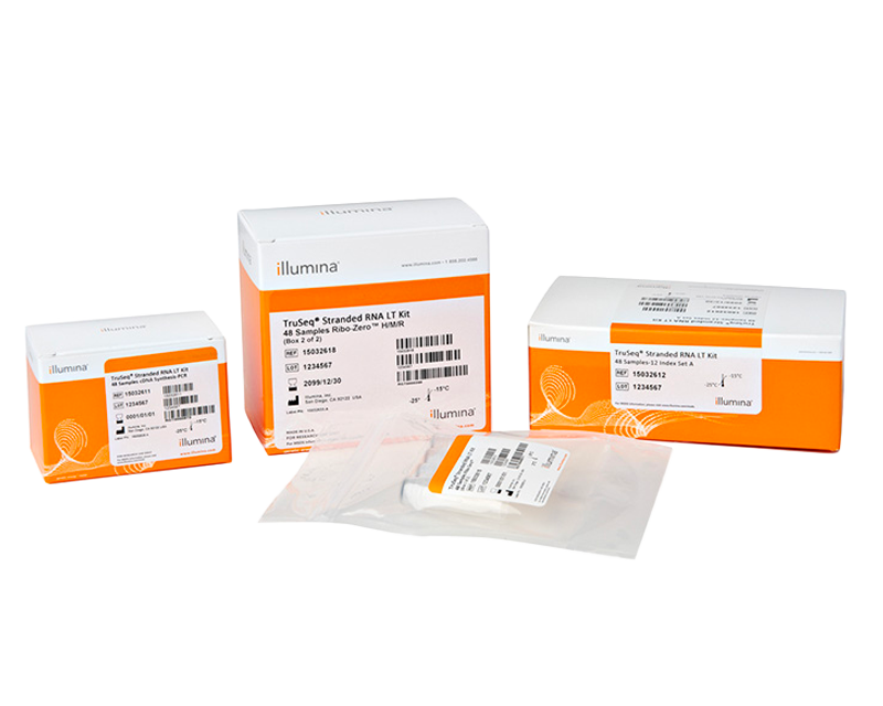 TruSeq Stranded Total RNA Library Prep Globin (96 Samples) 20020613 - Illumina
