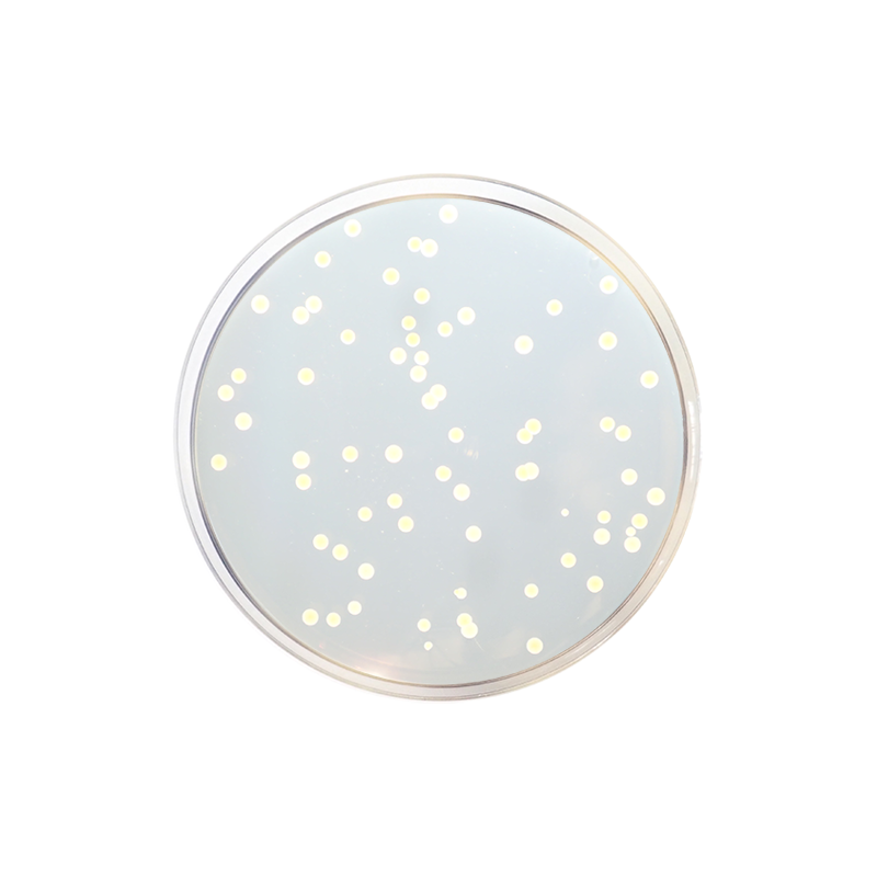 Trypticasein Soy Agar (TSA) EP/USP/ISO 0904 - Microbiology - Condalab