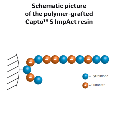 Capto™ S ImpAct ion exchange chromatography resin 17371703 - Chromatography products - Cytiva
