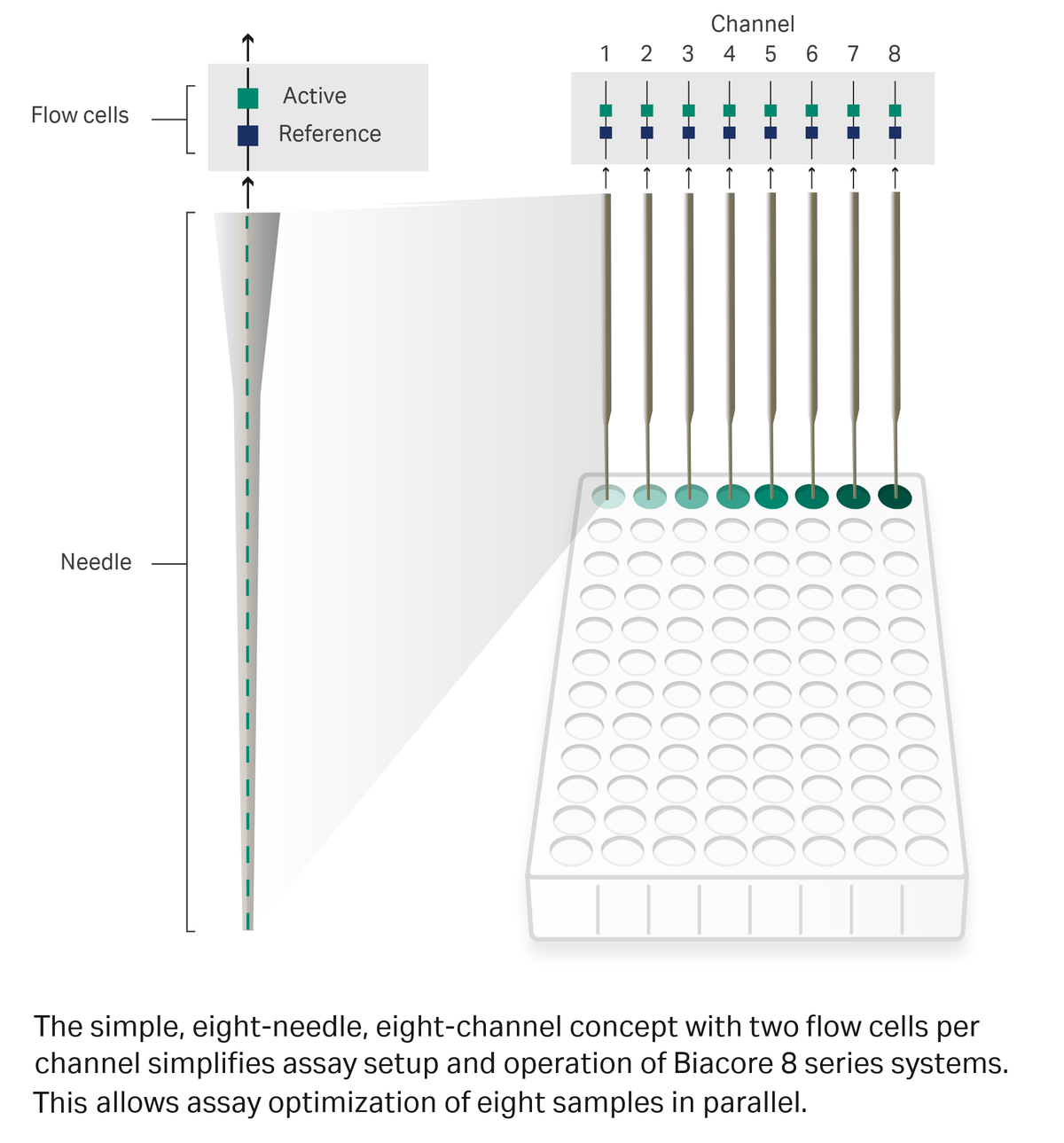 Biacore™ 8 series SPR systems 29722783 - Protein analysis equipment and supplies - Cytiva